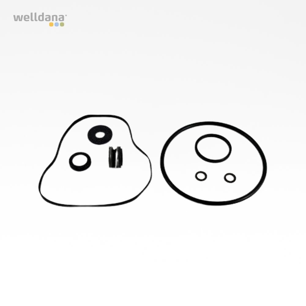 39-102176_welldana_0_pumpe_taetningssaet_til_hayward_super_ii_rs_ii